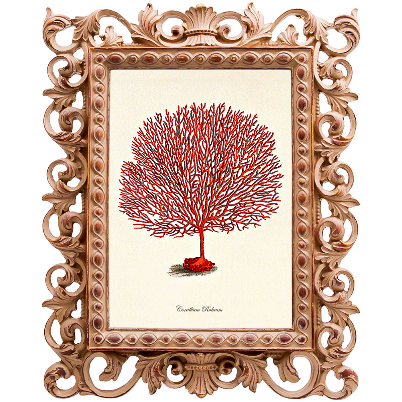 Постер Red Coral Poster 3 Бежевый Красный Постер Red Coral Poster 3 Бежевый Красный в Самаре | Loft Concept