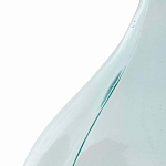 Ваза-бутыль из стекла TRANSPARENT FORMS 56 варинант исполнения - 4 | Loft Concept в Самаре