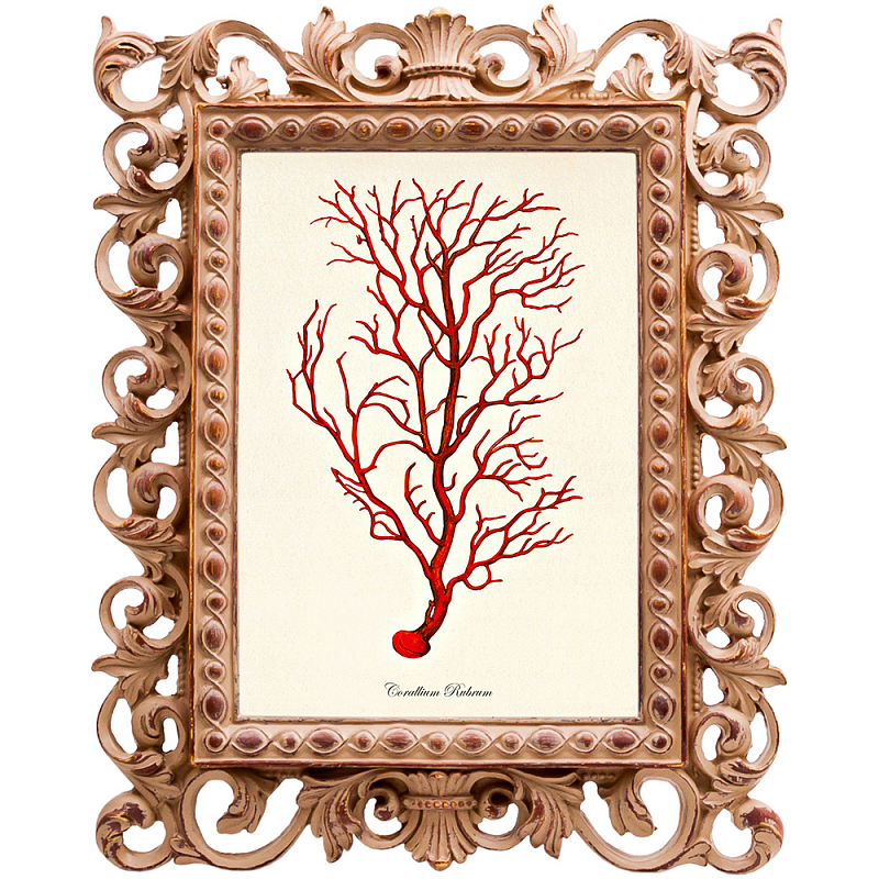 Постер Red Coral Poster 4 Бежевый Красный Постер Red Coral Poster 4 Бежевый Красный в Самаре | Loft Concept