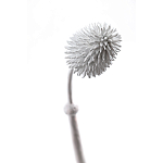 Статуэтка тропический фрукт Pandora Tropical Fruit Tall White варинант исполнения - 1 | Loft Concept в Самаре