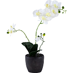 Декоративный искусственное растение Angel Orchid варинант исполнения - 1 | Loft Concept в Самаре