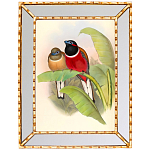 Постер с изображением птиц и цветов в зеркальной раме Blooming Birds Poster варинант исполнения - 6 | Loft Concept в Самаре