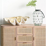 Блюдо декоративное в виде ракушки Seashell варинант исполнения - 1 | Loft Concept в Самаре