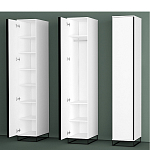 Шкаф-пенал белый с зеркальной дверцей Strict Lines варинант исполнения - 5 | Loft Concept в Самаре