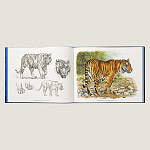 Лимитированная подарочная книга HERMES Fierce and Fragile book, English version варинант исполнения - 2 | Loft Concept в Самаре