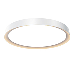 Потолочный светильник Incognito 2700-4000К 46Вт варинант исполнения - 1 | Loft Concept в Самаре