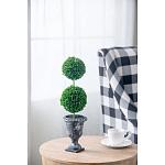 Декоративный искусственное растение Double boxwood варинант исполнения - 5 | Loft Concept в Самаре