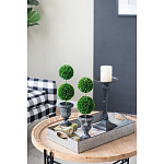 Декоративный искусственное растение Double boxwood варинант исполнения - 8 | Loft Concept в Самаре