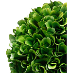 Декоративный искусственное растение Single boxwood варинант исполнения - 2 | Loft Concept в Самаре