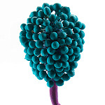 Статуэтка для интерьера фрукт Pandora Tropical Fruit 22 варинант исполнения - 2 | Loft Concept в Самаре