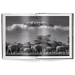 Книга Beusker. Look into my Eyes варинант исполнения - 2 | Loft Concept в Самаре