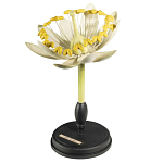 Статуэтка Tilia варинант исполнения - 3 | Loft Concept в Самаре