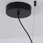 Люстра подвесная светодиодная черный металл Ring Horizontal варинант исполнения - 13 | Loft Concept в Самаре