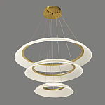 Люстра подвесная с 3-мя кольцевыми светодиодными лампами Catcher варинант исполнения - 1 | Loft Concept в Самаре