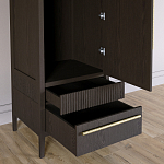 Узкий Шкаф Primo с 2 выдвижными ящиками Темный орех варинант исполнения - 5 | Loft Concept в Самаре