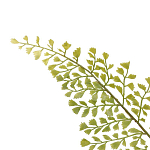 Декоративный искусственное растение Dried flower варинант исполнения - 3 | Loft Concept в Самаре