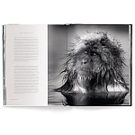 Книга Beusker. Look into my Eyes варинант исполнения - 3 | Loft Concept в Самаре