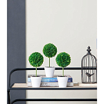 Декоративный искусственное растение Boxwood One варинант исполнения - 9 | Loft Concept в Самаре