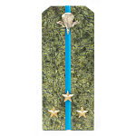 Сувенир Погон Старший Лейтенант ВДВ из натурального камня змеевик Souvenir Epaulets варинант исполнения - 1 | Loft Concept в Самаре