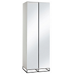 Двухдверный шкаф с зеркальными дверцами Strict Lines варинант исполнения - 5 | Loft Concept в Самаре