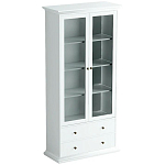 Шкаф-витрина Droletina варинант исполнения - 1 | Loft Concept в Самаре