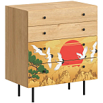 Комод с принтом на ящиках Elise Chest of Drawers варинант исполнения - 4 | Loft Concept в Самаре