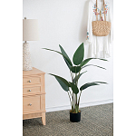 Декоративный искусственное растение Decor Stile  варинант исполнения - 3 | Loft Concept в Самаре