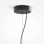 Подвесной светильник Rare grapes варинант исполнения - 4 | Loft Concept в Самаре