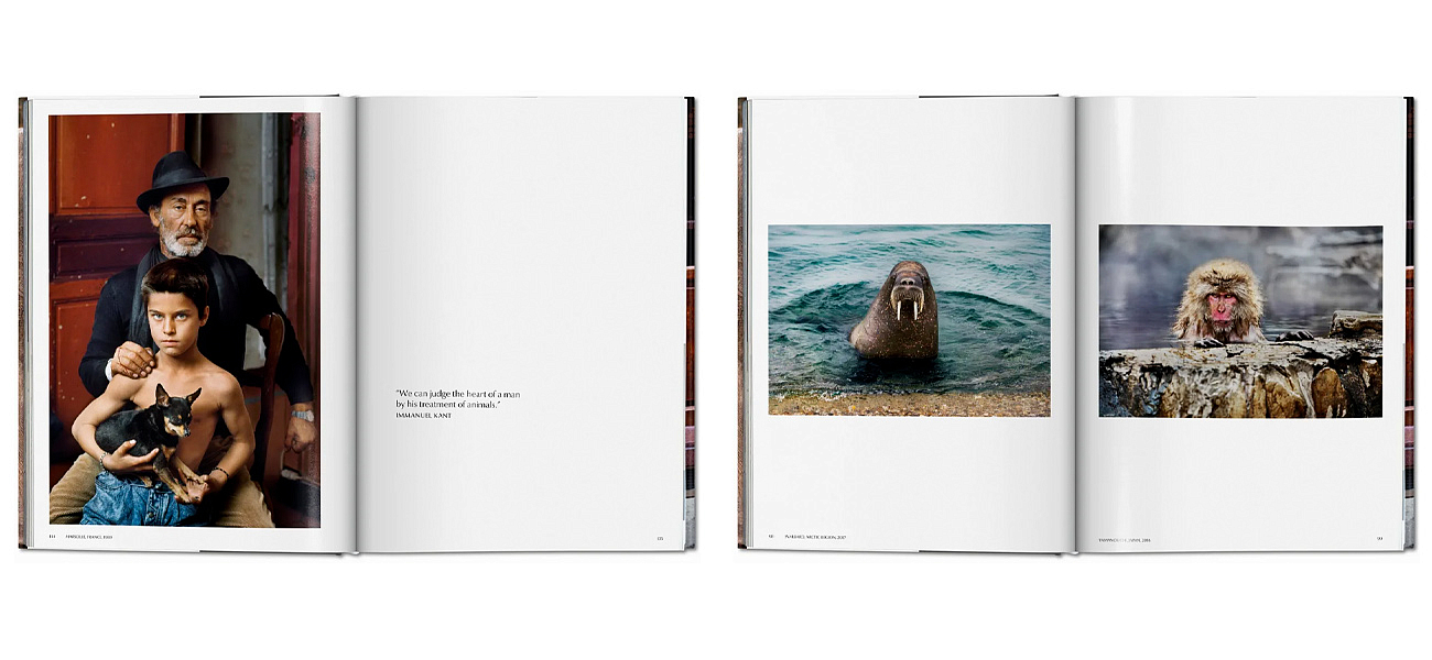 Steve McCurry. Animals Steve McCurry. Animals - Loft-Concept в Самаре