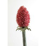 Статуэтка тропический фрукт Pandora Tropical Fruit Orange Red Round варинант исполнения - 3 | Loft Concept в Самаре