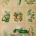 Обои ручная роспись Botanical Studies Linnaeus colourway варинант исполнения - 3 | Loft Concept в Самаре
