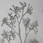 Панно Лесной цветок варинант исполнения - 4 | Loft Concept в Самаре