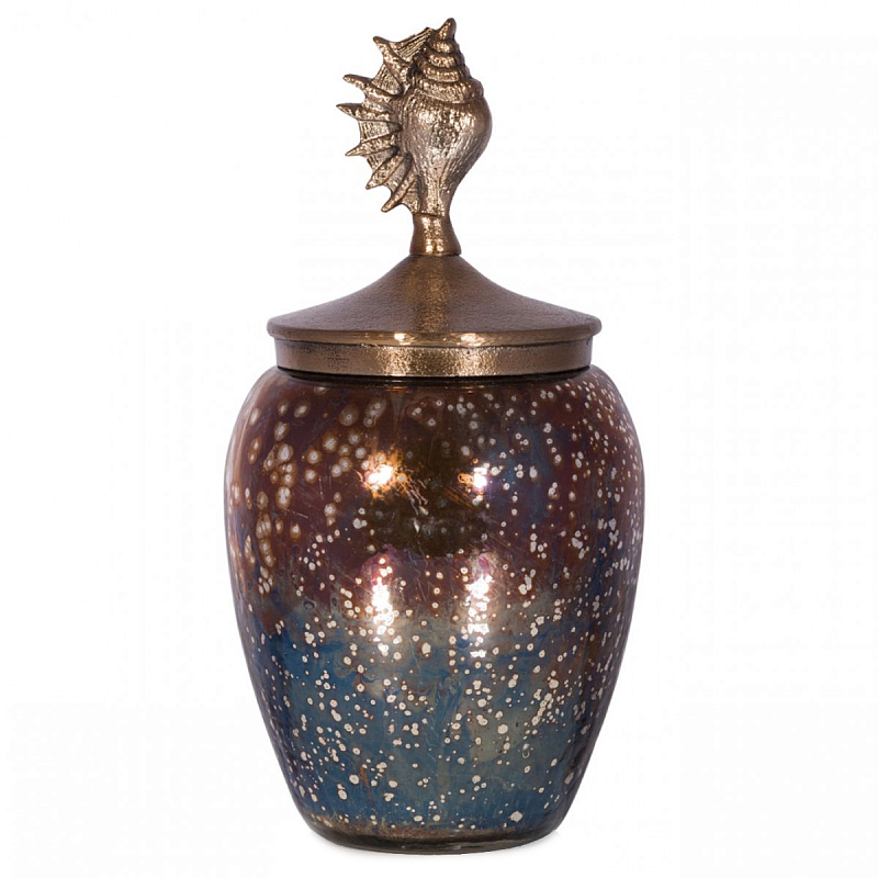 БАНКА С КРЫШКОЙ SEA SHELL COSMOS Золотой Коричневый БАНКА С КРЫШКОЙ SEA SHELL COSMOS Золотой Коричневый в Самаре | Loft Concept
