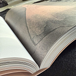 Лимитированное издание Иллюстрации модного дома Book: Dior par Mats Gustafson Vol. II Maria Grazia Chiuri варинант исполнения - 3 | Loft Concept в Самаре