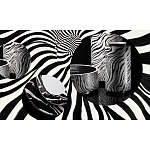 Редкое коллекционное издание Casa Cavalli Home: Celebrating the Roberto Cavalli Lifestyle Зебра варинант исполнения - 4 | Loft Concept в Самаре