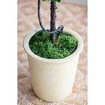 Декоративный искусственное растение Single boxwood варинант исполнения - 6 | Loft Concept в Самаре