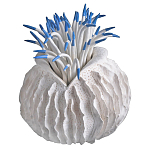 Статуэтка тропический фрукт Tropical Fruit White Blue варинант исполнения - 2 | Loft Concept в Самаре