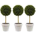 Декоративный искусственное растение Boxwood One варинант исполнения - 1 | Loft Concept в Самаре