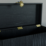 Большой дизайнерский Сундук Elsa Dreams Black варинант исполнения - 3 | Loft Concept в Самаре