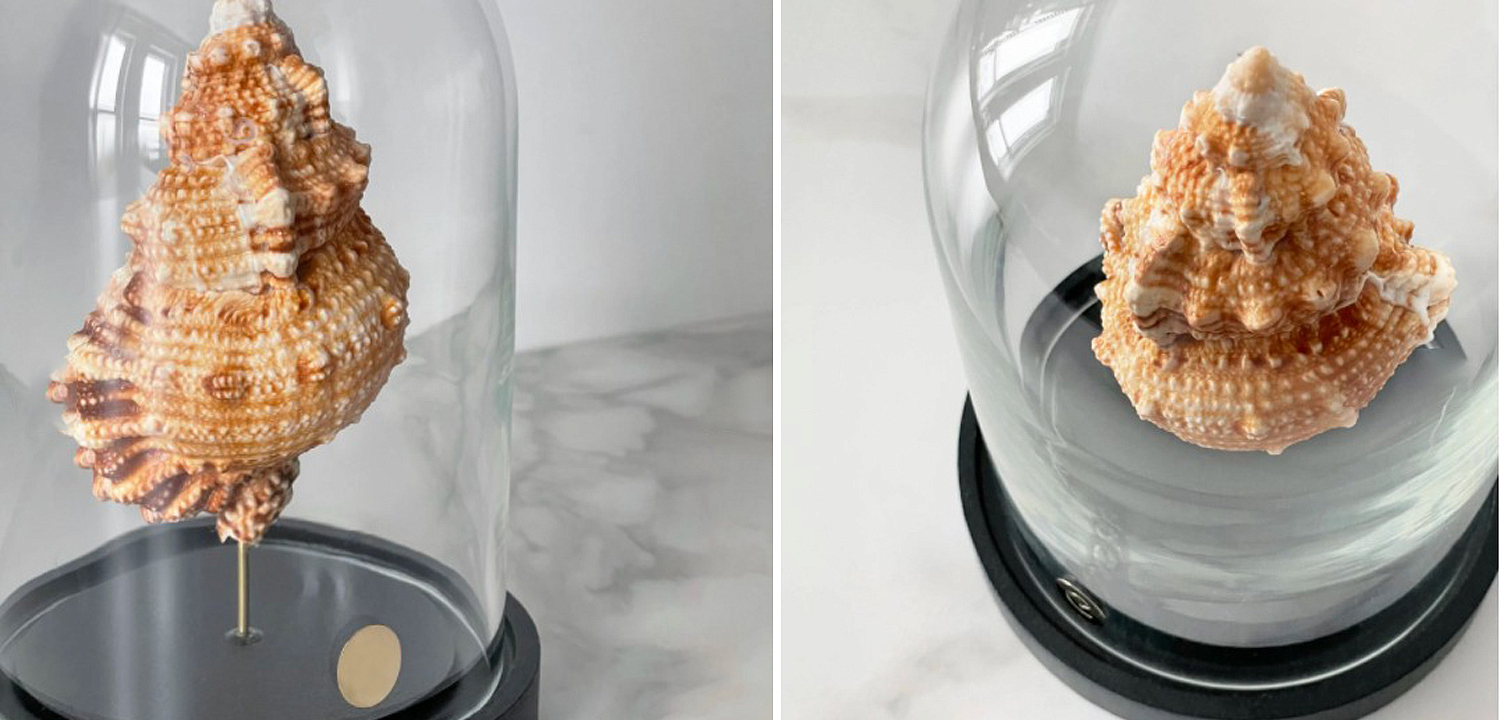 Статуэтка Bursa Rubeta Glass Cloche Статуэтка Bursa Rubeta Glass Cloche - Loft-Concept в Самаре