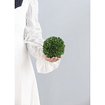 Декоративный искусственное растение Small boxwood варинант исполнения - 3 | Loft Concept в Самаре