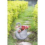 Кашпо The Proud Swan варинант исполнения - 6 | Loft Concept в Самаре