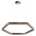 Люстра подвесная светодиодная в форме шестиугольника Диаметр 80 см Hexagon Horizontal варинант исполнения - 1 | Loft Concept в Самаре