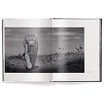 Книга Beusker. Look into my Eyes варинант исполнения - 1 | Loft Concept в Самаре