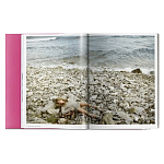 Книга Gisele Bundchen варинант исполнения - 9 | Loft Concept в Самаре