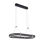 Люстра светодиодная в форме овала из акрила и алюминия с пультом для регулировки света Ring Horizontal Anthracite варинант исполнения - 2 | Loft Concept в Самаре