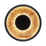 Бра круглое Gold Sun Lighting  варинант исполнения - 1 | Loft Concept в Самаре