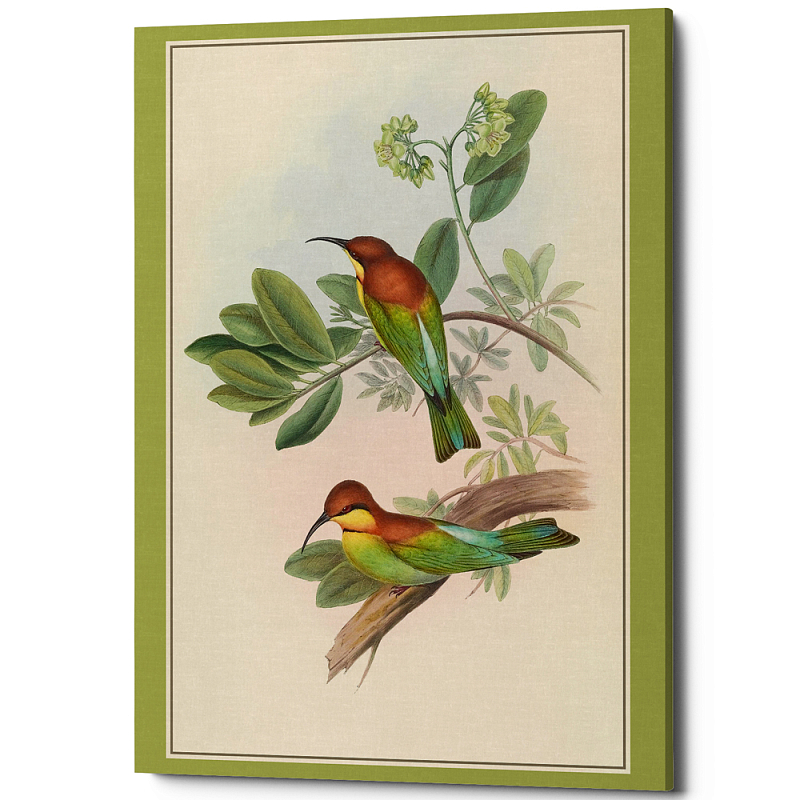 Постер на холсте с изображением птиц Blooming Birds Poster Бежевый Салатовый Мульти Постер на холсте с изображением птиц Blooming Birds Poster Бежевый Салатовый Мульти в Самаре | Loft Concept