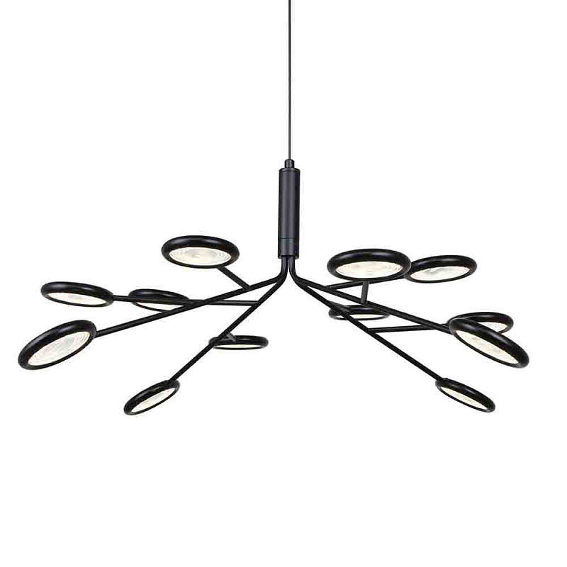Люстра черного цвета с 12-ю круглыми плафонами Bendik Lighting Прозрачный Черный Люстра черного цвета с 12-ю круглыми плафонами Bendik Lighting Прозрачный Черный в Самаре | Loft Concept